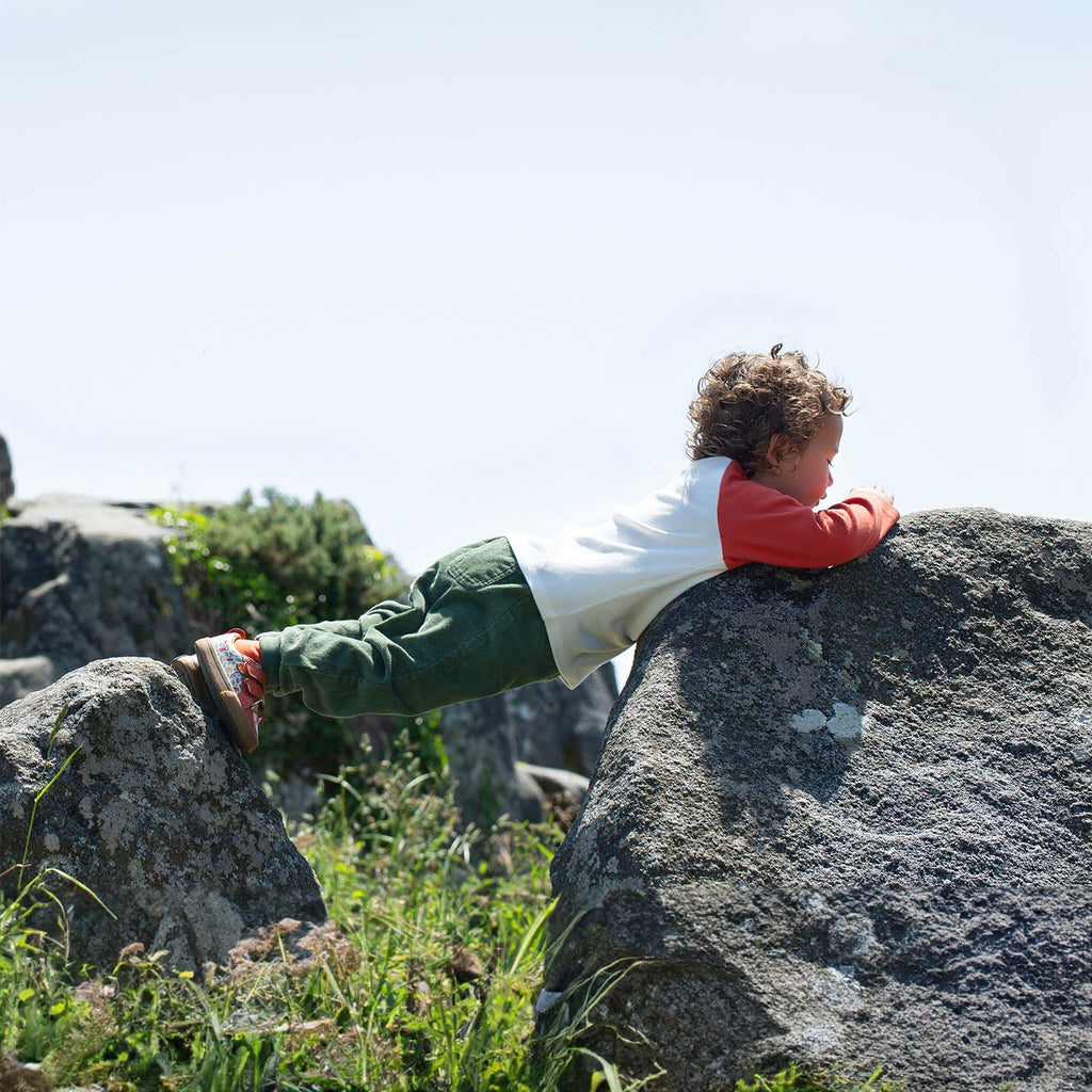 Luke Raglan Top - Stay Wild / Paprika