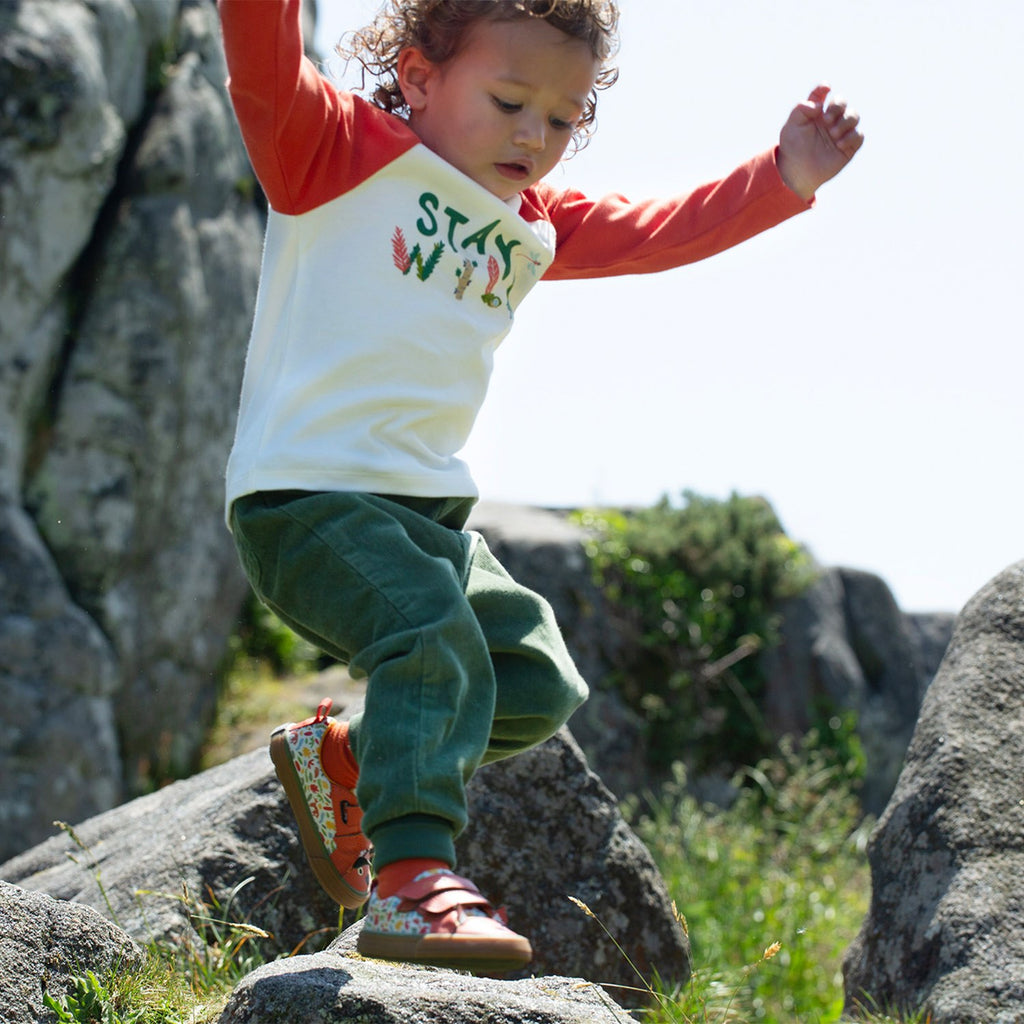 Luke Raglan Top - Stay Wild / Paprika